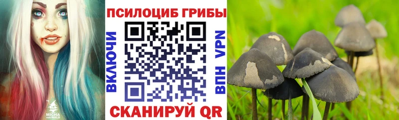 Псилоцибиновые грибы ЛСД  продажа наркотиков  blacksprut как войти  Белореченск 